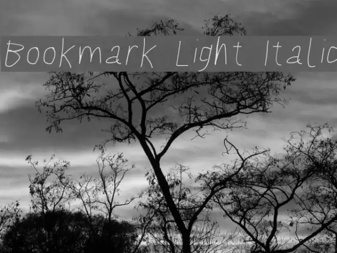 Bookmark Light Italic examples