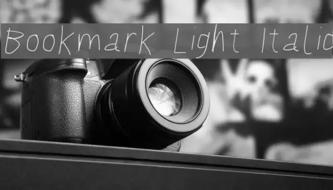 Bookmark Light Italic examples