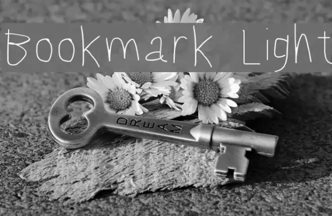 Bookmark Light Font examples