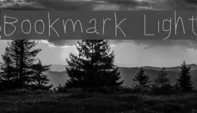 Bookmark Light Font examples