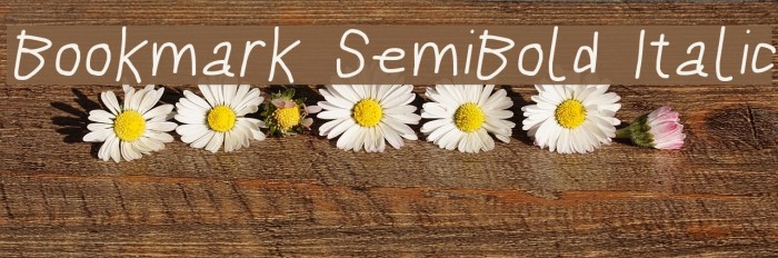 Bookmark SemiBold Italic Шрифта examples