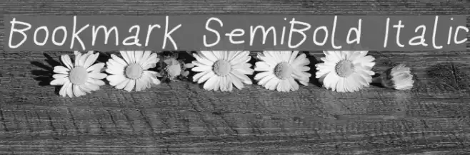 Bookmark SemiBold Italic Шрифта examples