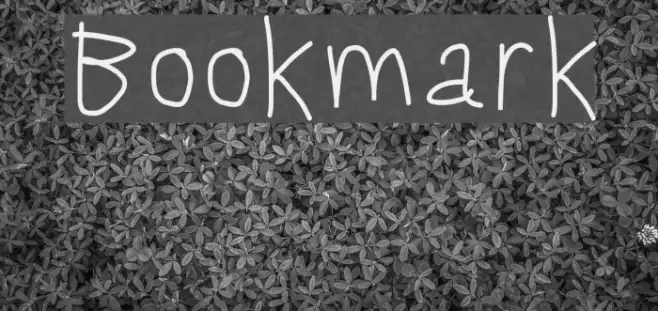 Bookmark Example 2