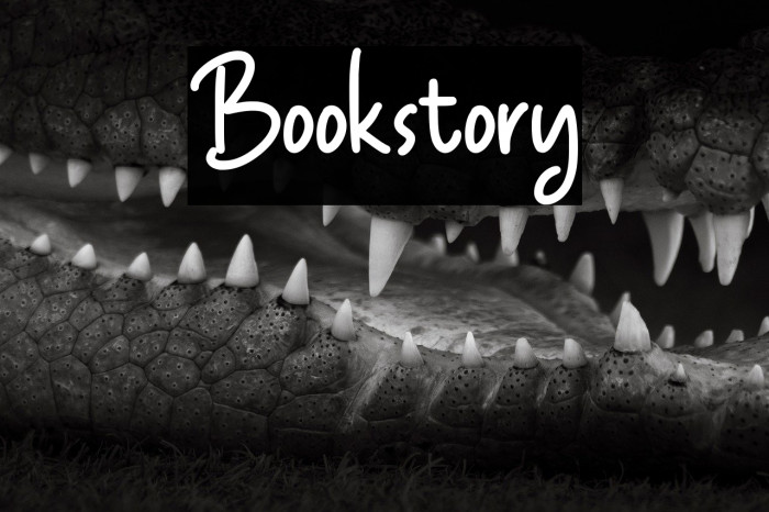 Bookstory Example 2