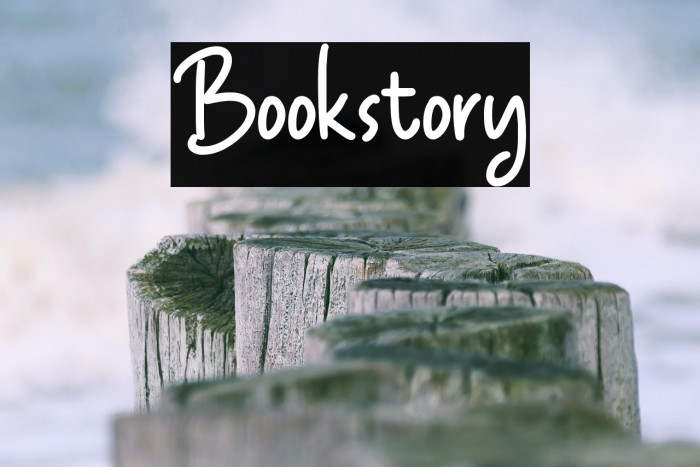 Bookstory Example 3