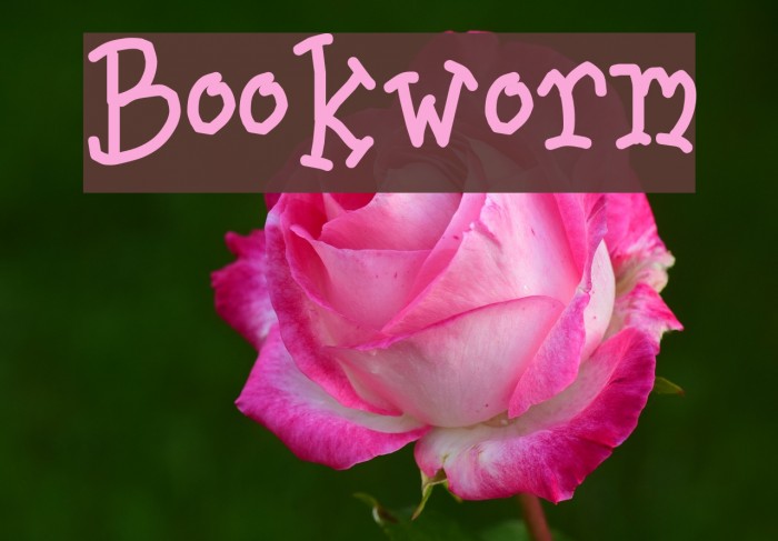 Bookworm Font examples