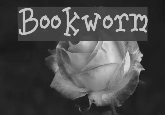 Bookworm Example 1