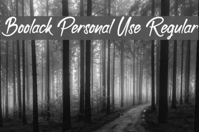 Boolack Personal Use Regular Example 1