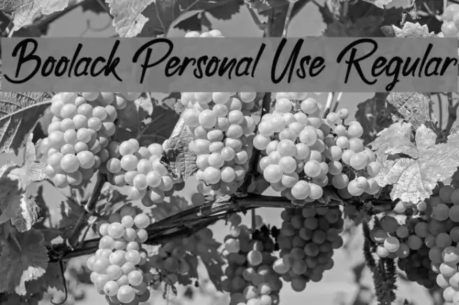 Boolack Personal Use Regular Example 2