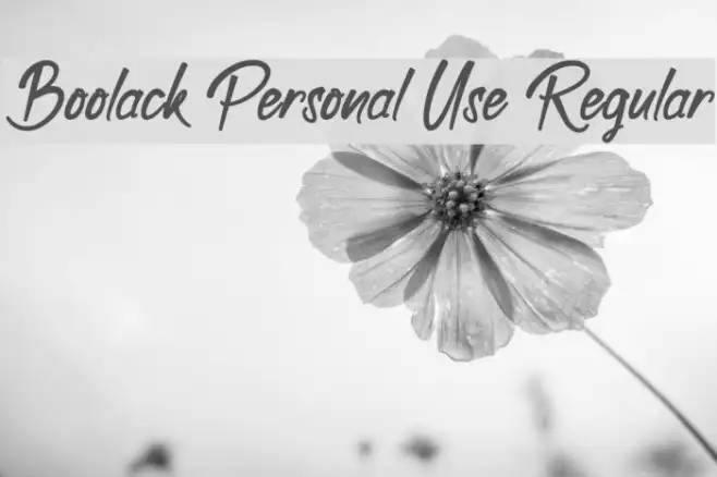 Boolack Personal Use Regular Example 3