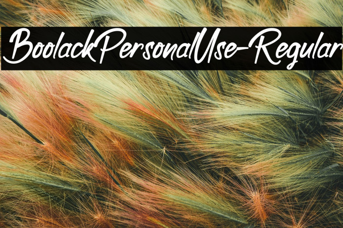 BoolackPersonalUse-Regular Example 1