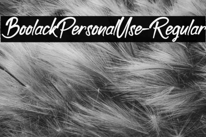 BoolackPersonalUse-Regular Example 1