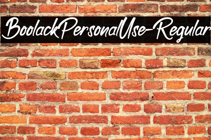 BoolackPersonalUse-Regular Example 2