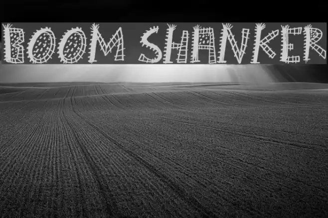 Boom Shanker Example 2