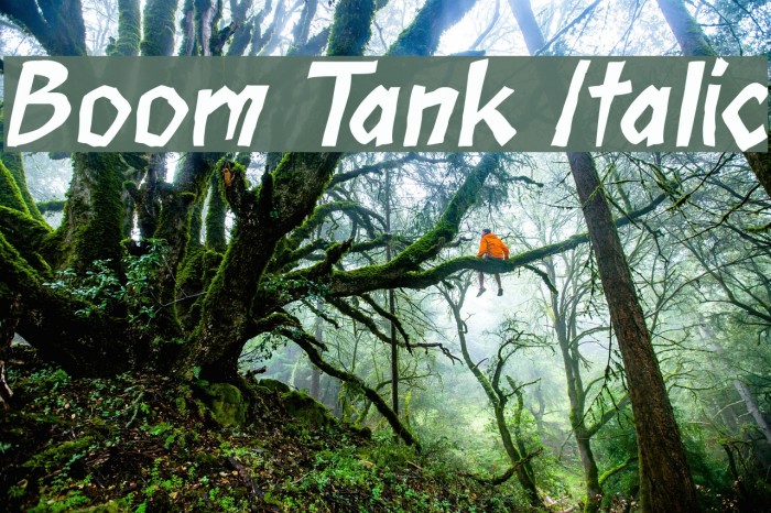 Boom Tank Italic Font examples