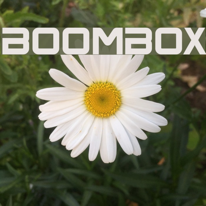 BoomBox Font