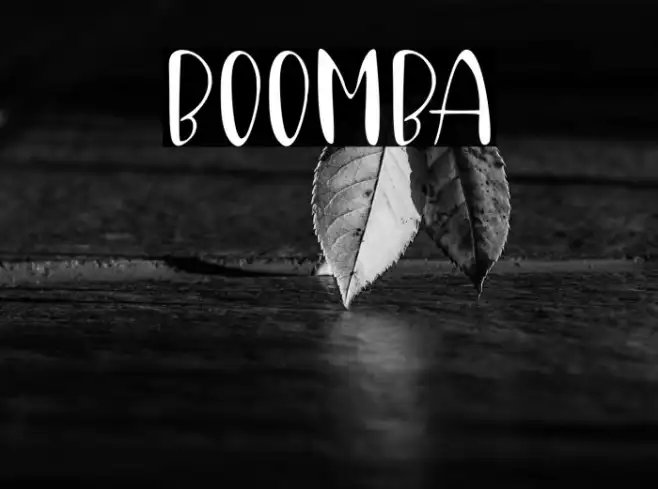 Boomba Example 1