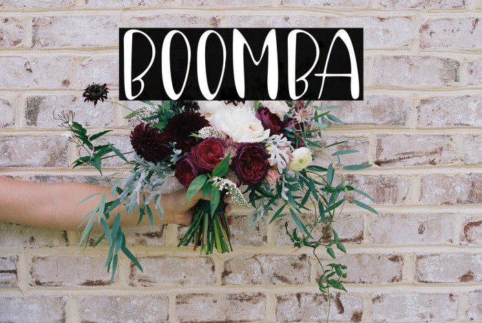 Boomba Example 2