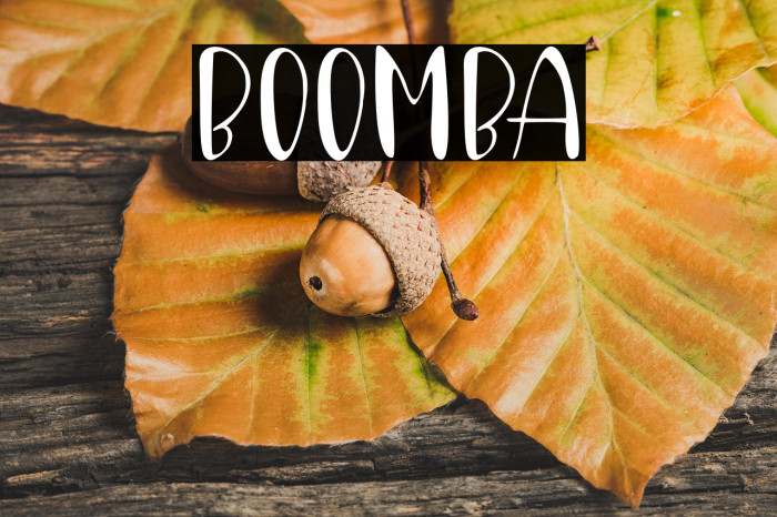 Boomba Example 3