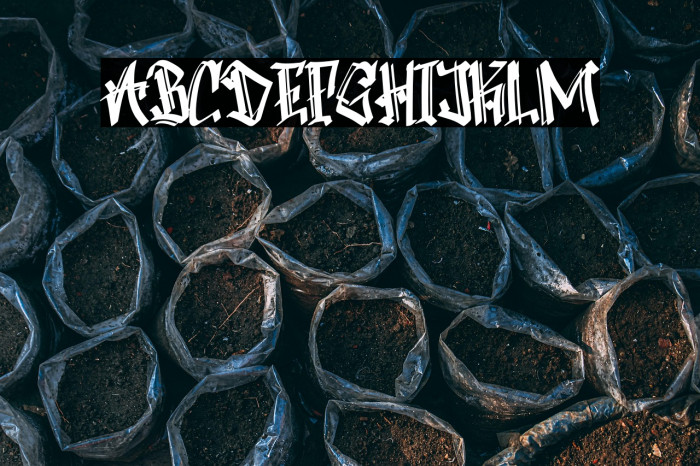 Boomber Rockstar Personal  Use Example 1