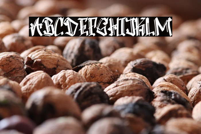 Boomber Rockstar Personal  Use Example 2