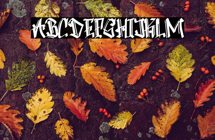 Boomber Rockstar Personal  Use Example 3