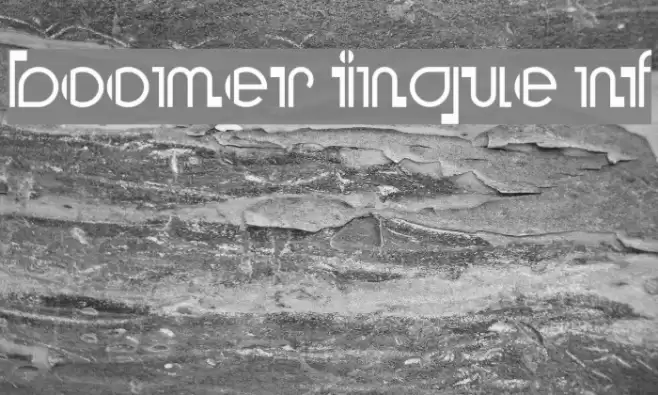 Boomer Ingue NF フォント examples