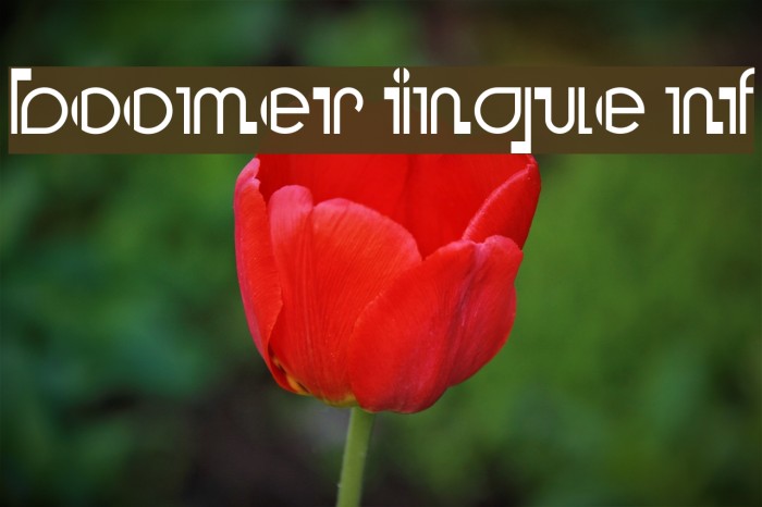 Boomer Ingue NF Font examples