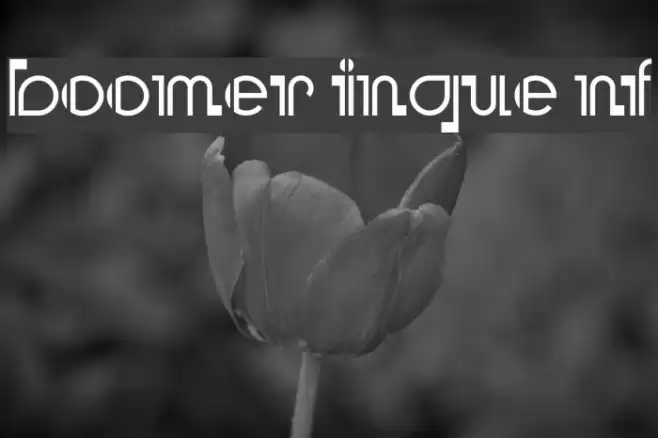 Boomer Ingue NF フォント examples