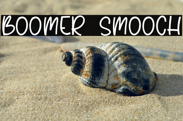 Boomer Smooch Example 3