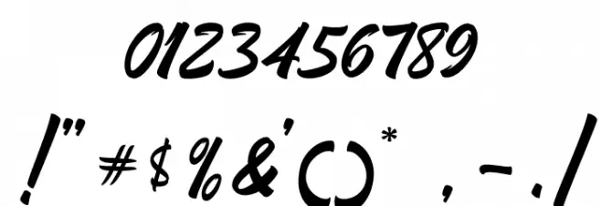 Boomerang Script Font OTHER CHARS