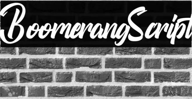BoomerangScript Example 3