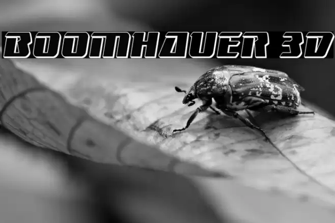 Boomhauer 3D Font examples