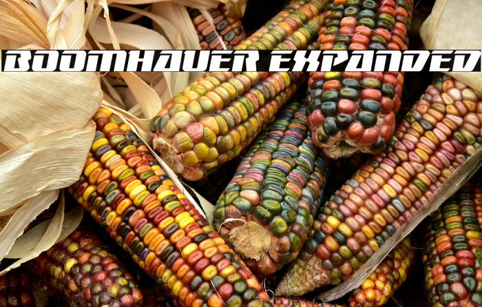 Boomhauer Expanded Example 1