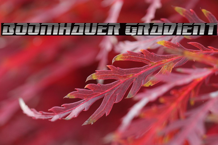Boomhauer Gradient Example 1