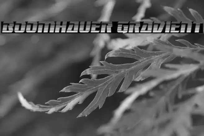Boomhauer Gradient Example 1