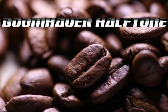 Boomhauer Halftone Example 2