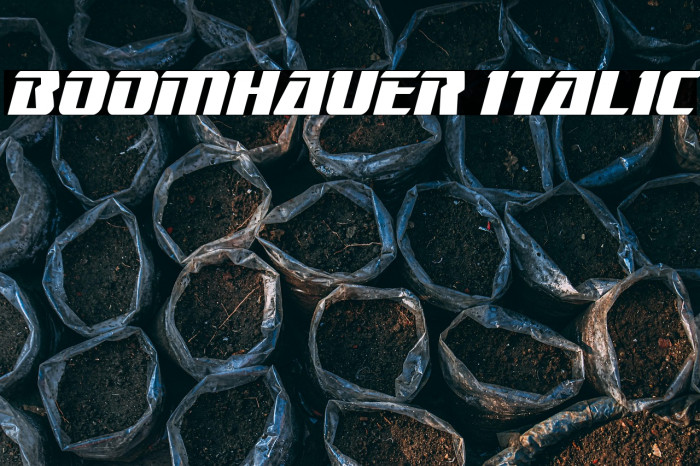 Boomhauer Italic Example 1