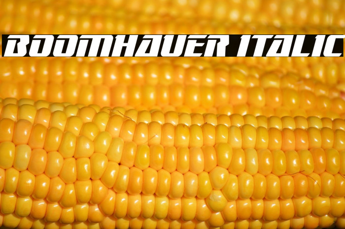 Boomhauer Italic Example 2