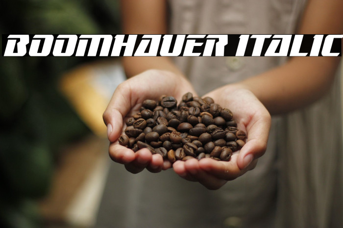 Boomhauer Italic Example 3