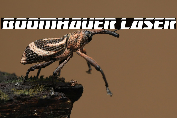 Boomhauer Laser Example 2