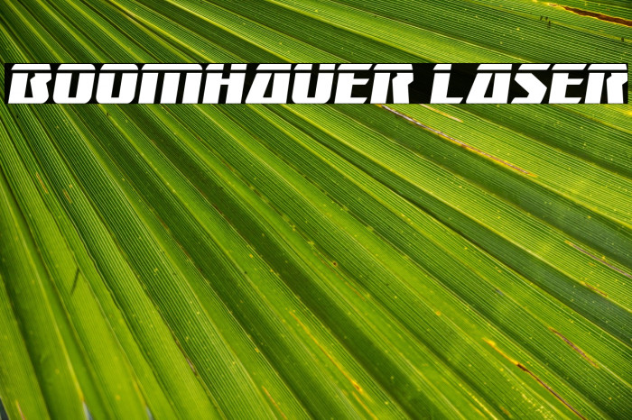 Boomhauer Laser Example 3