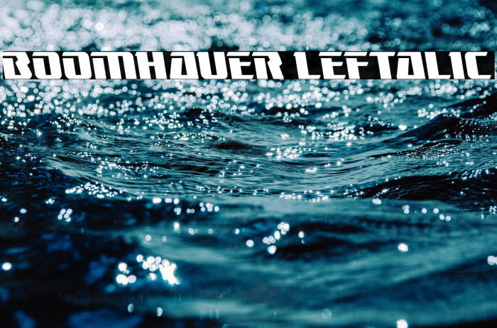 Boomhauer Leftalic Example 1