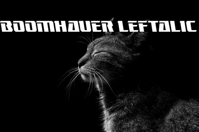 Boomhauer Leftalic Example 2