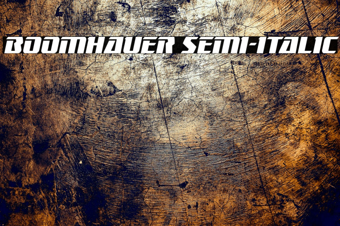 Boomhauer Semi-Italic Example 1