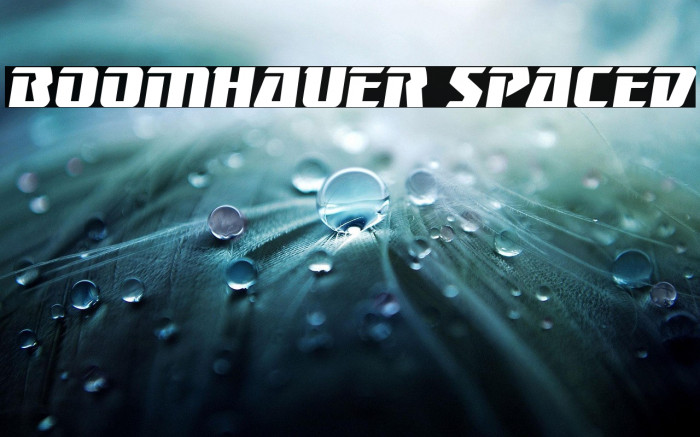 Boomhauer Spaced Example 2