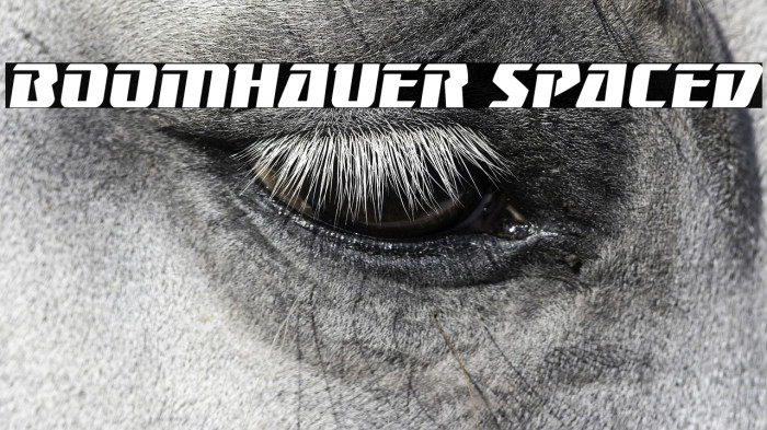 Boomhauer Spaced Example 3