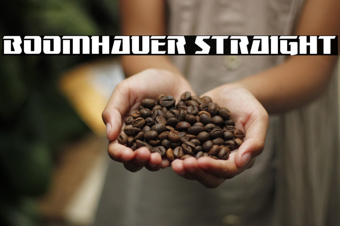 Boomhauer Straight Example 1