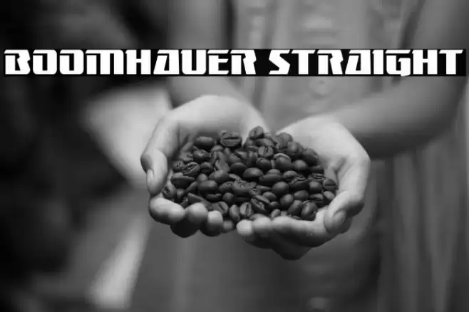 Boomhauer Straight Font examples