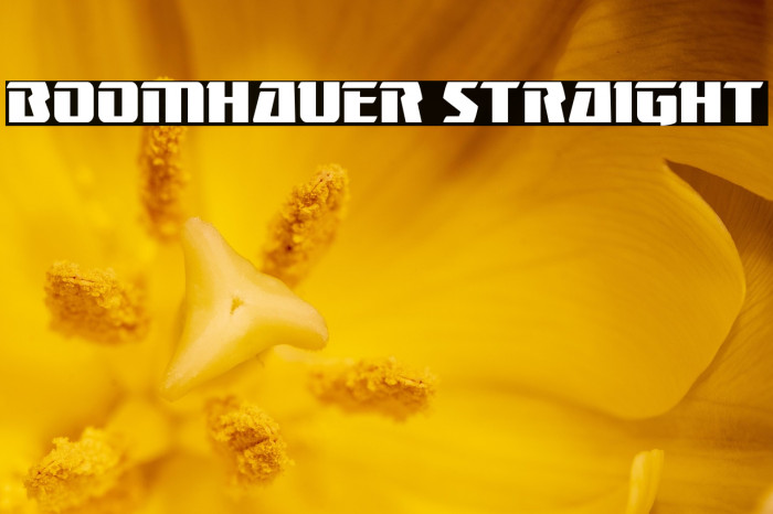 Boomhauer Straight Example 2